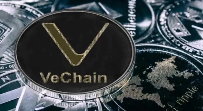 vechain 2